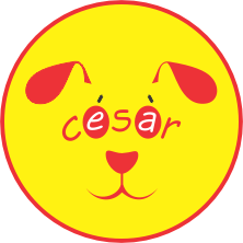 sillasderuedasparaperrosygatos